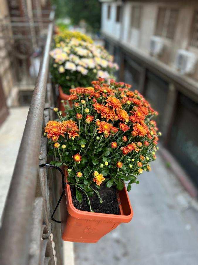 38,Velasquez Palermo Esterno foto