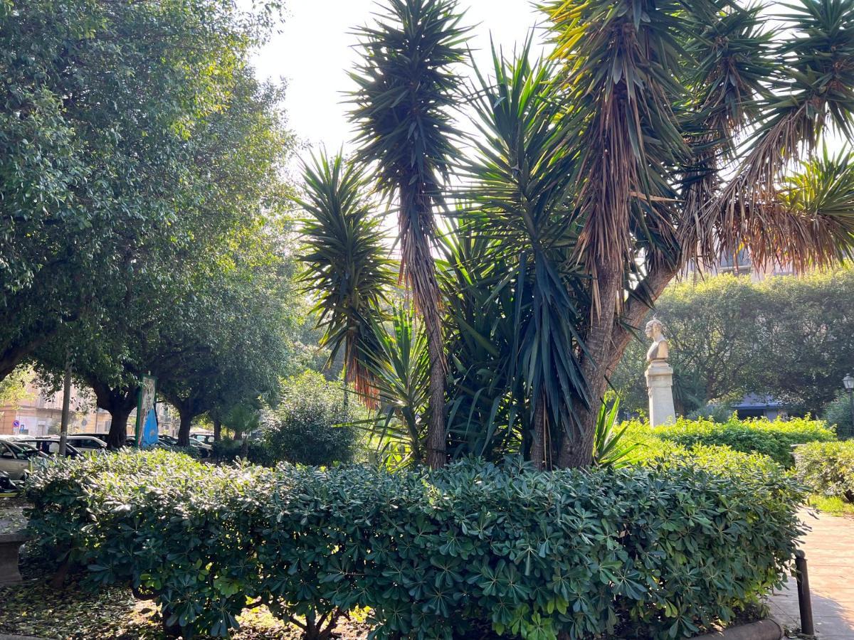 38,Velasquez Palermo Esterno foto