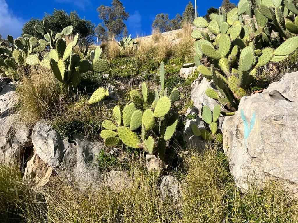 38,Velasquez Palermo Esterno foto